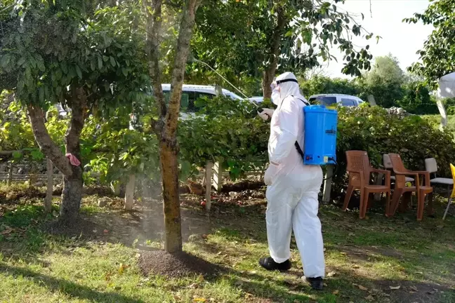 Samsun'da Kahverengi Kokarca ile Mücadele Eğitimi Düzenlendi