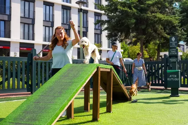 Ümraniye'de Köpek Eğitim Merkezi ile Hayvanların Sosyalleşmesi Destekleniyor