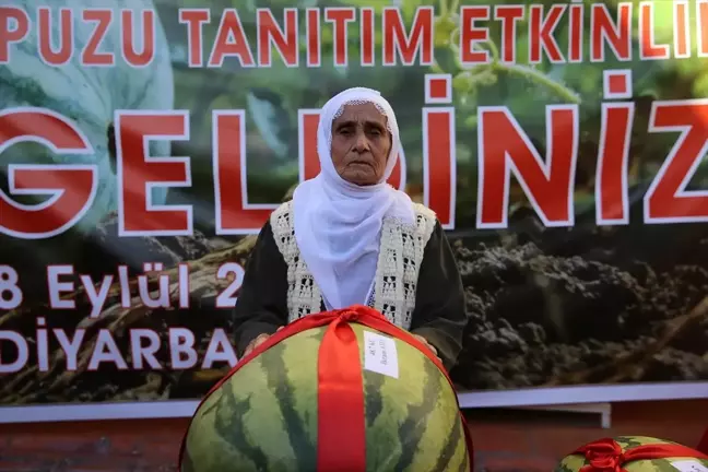 Diyarbakır'da 14. Karpuz Tanıtım Etkinlikleri Düzenlendi