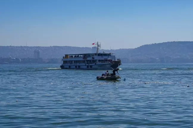 İzmir Körfezi'nde Ölü Balıklar Kıyıya Vurdu