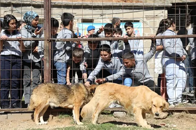 Bitlis Belediyesi'nden 4 Ekim Hayvanları Koruma Günü Etkinliği