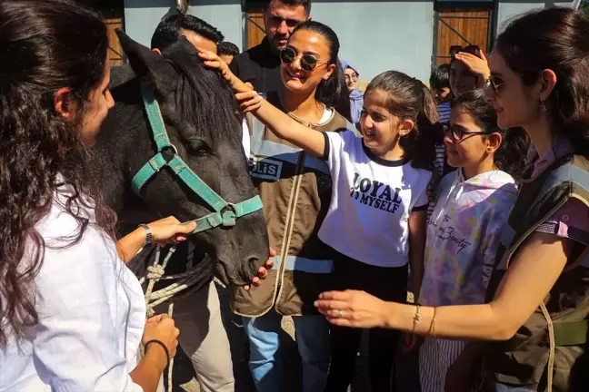 Diyarbakır'da Dünya Hayvanları Koruma Günü Etkinliği Düzenlendi