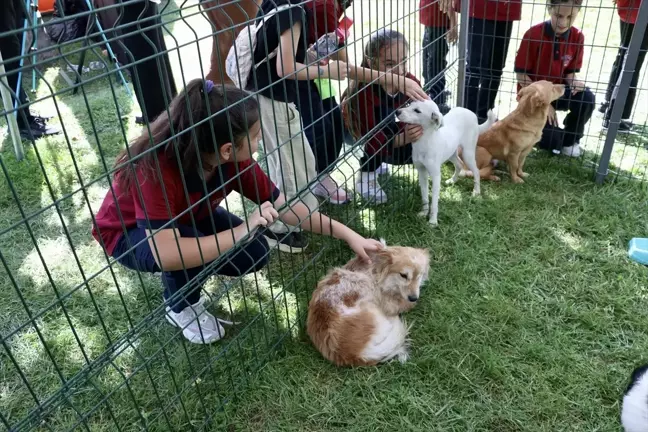 Sakarya'da Pati İzi Can Dostlar Etkinliği ile Hayvan Sevgisi Yaygınlaşıyor