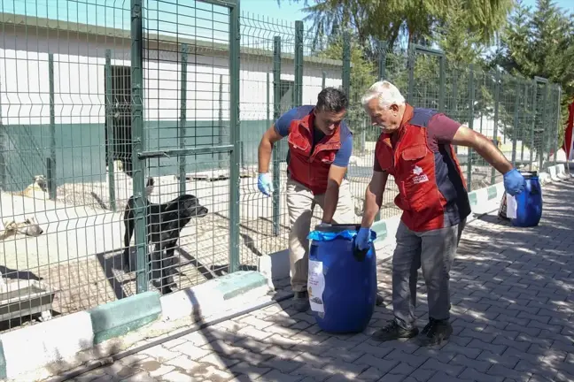 Hayvanları Koruma Günü'nde Mama Desteği