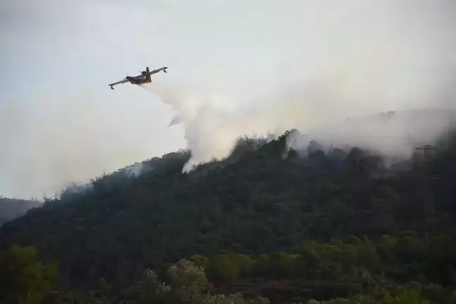 Foça'daki Orman Yangını Kontrol Altına Alındı