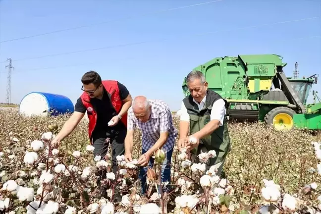 Viranşehir Kaymakamı Ülkü, Pamuk Hasat Sezonunu Başlattı