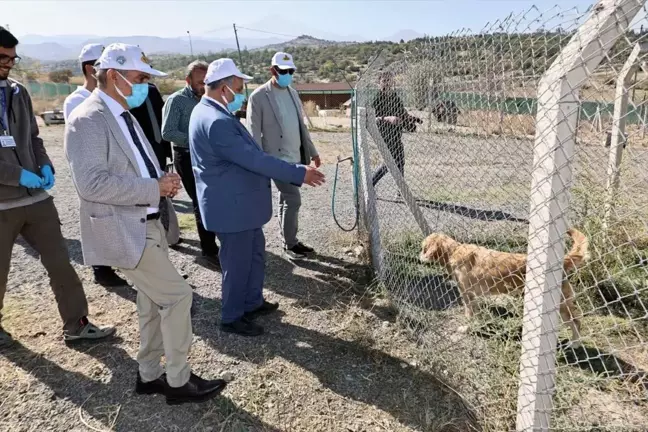 Talas Pati Evi için İşbirliği Artırılıyor