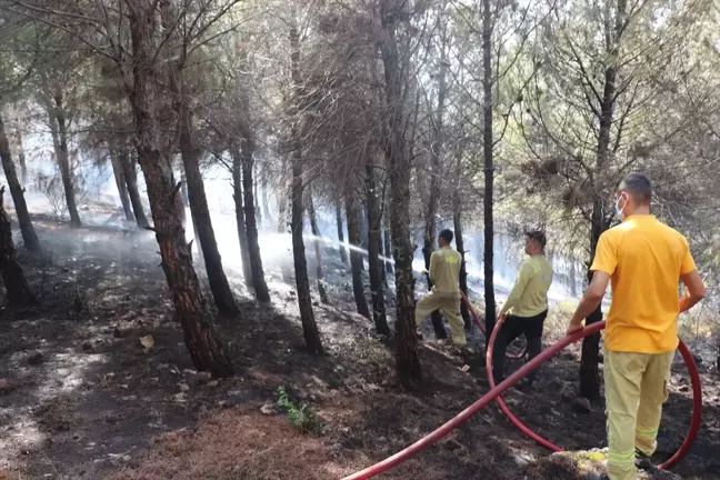 Antakya'da Orman Yangını Kontrol Altına Alındı