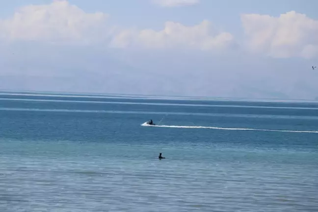 Van'da Kayıp Üniversite Öğrencisi Rojin Kabaiş İçin Arama Çalışmaları 17. Günde Devam Ediyor