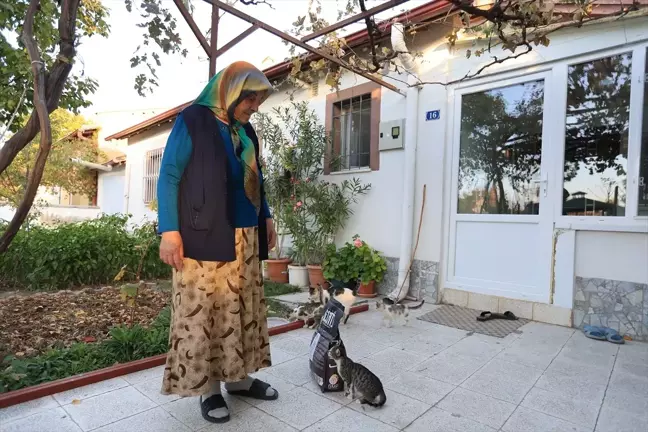 Kayseri'de yaşlı kadının bahçesinde beslediği kediler için mama talebi yerine getirildi