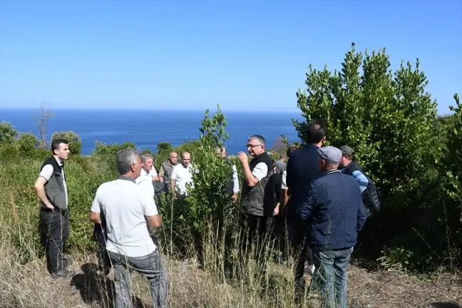 Mudanya'da Defne Alanı Rehabilitasyonu İçin Teknik Gezi Düzenlendi