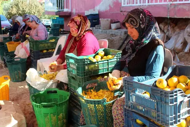 Alaşehir'de Cennet Hurmasına Yükselen Talep