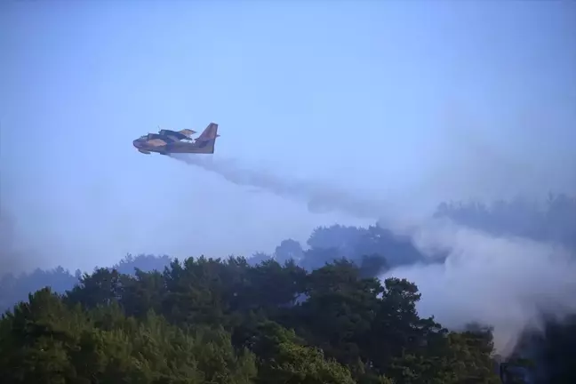 Muğla'da Orman Yangınına Hava ve Karadan Müdahele