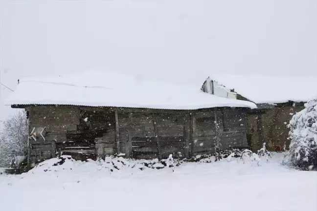 Kastamonu'da Yoğun Kar Yağışı Hayatı Olumsuz Etkiledi