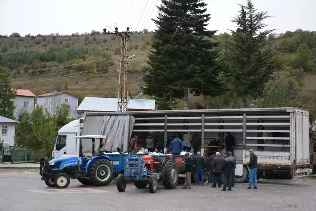 Başçiftlik'ten Gurbetçilere Kışlık Gıda Gönderimi