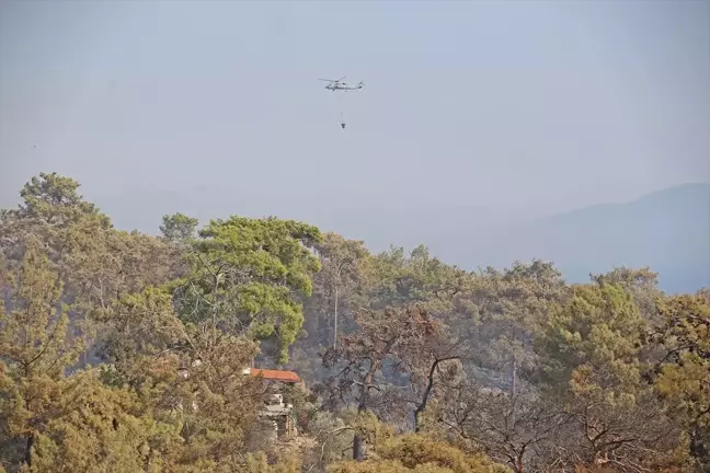 Muğla'daki Orman Yangınına Müdahale Devam Ediyor