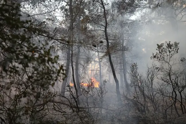 Çanakkale'de Orman Yangını Kontrol Altına Alındı