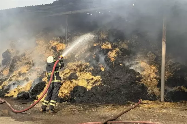 Edirne'de Çiftlikte Yangın: Büyükbaş Hayvanlar Kurtarıldı