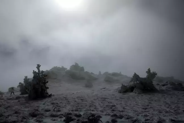 Bolu’da Kar Yağışı: Köroğlu Dağları Beyaz Örtüyle Kaplandı