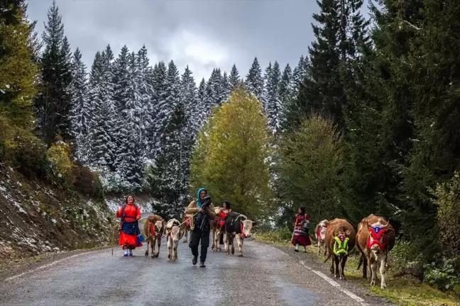 Doğu Karadeniz'de Yayla Göçü Sezonu Sona Eriyor