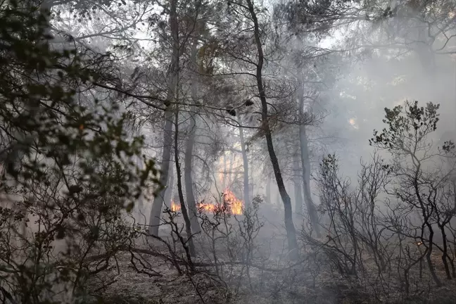 Çanakkale'de Yangın Çıkan Ormanlık Alanda 2 Zanlı Yakalandı