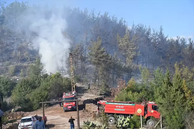 Osmaniye'de Orman Yangını Kontrol Altına Alındı