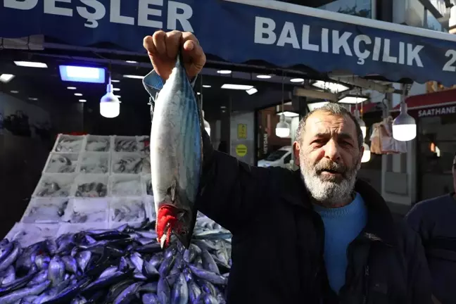 Karadeniz'de Palamut Bolluğu, Fiyatlar Düşüşte