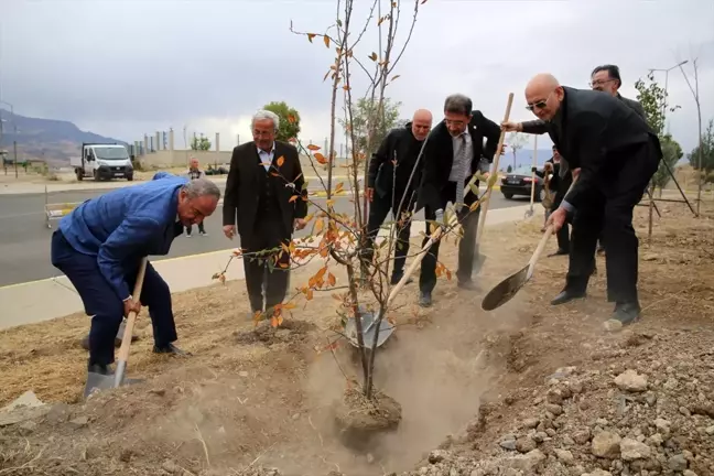 Şırnak Üniversitesi'ne 1400 Fidan Dikildi