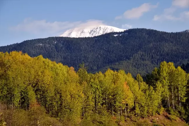 Ilgaz Dağı'nda Sonbahar ve Kış Aynı Anda Yaşanıyor