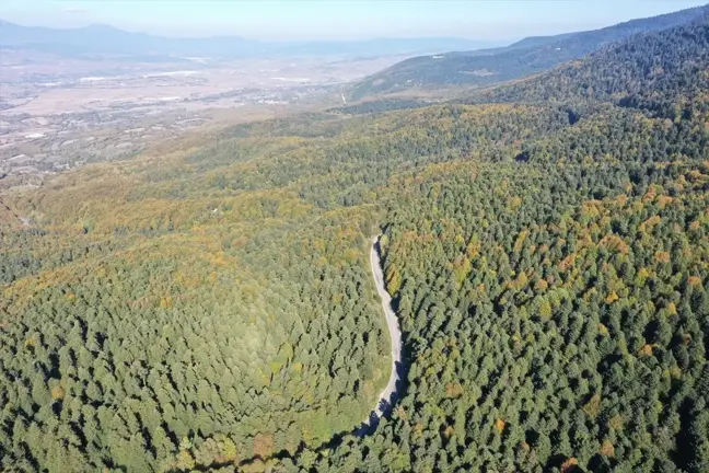 Bolu Gölcük Tabiat Parkı'nda Sonbahar Renkleri