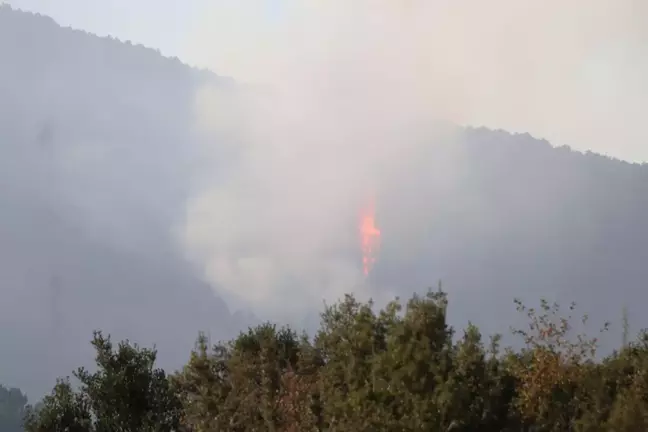 Denizli'deki Orman Yangını 5. Gününde Sürüyor