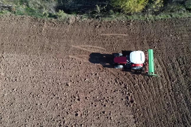 Kastamonu'da Siyez Buğdayı Ekimi Başladı