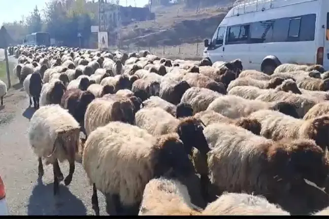 Diyarbakır Göçerleri Kışa Hazırlanıyor