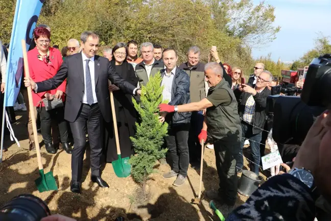 '81 İlde 81 Orman' Projesi kapsamında fidan dikimleri Samsun'da başladı