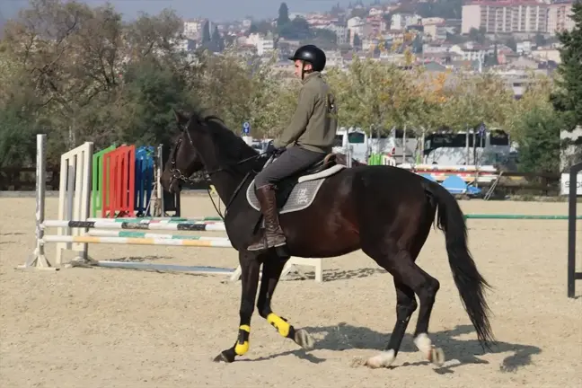 Kocaeli'de Emekli Atlar, Çocuklara Biniciliği Öğretiyor