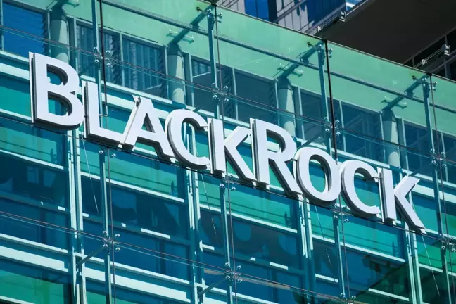 BlackRock ETF'lerinden altıncı net çıkış