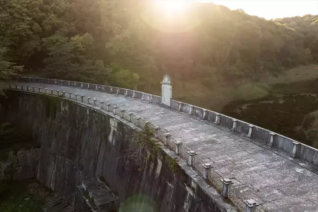 Osmanlı'nın Belgrad Ormanları'ndaki 