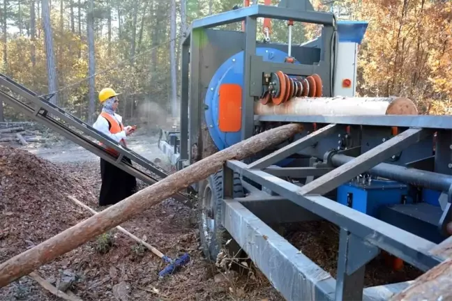 Kütahya'da Kadın Operatör Kabuk Soyma Makinesi Kullanıyor