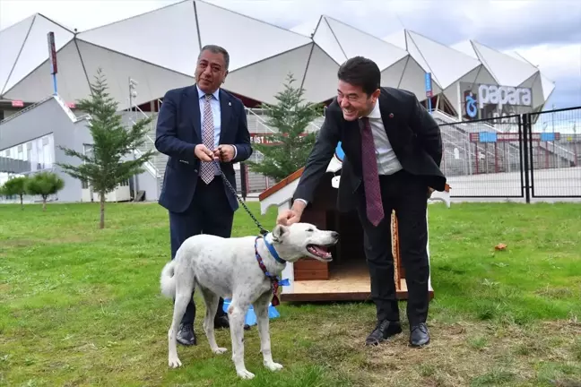 Trendyol Süper Lig Öncesinde Sahaya Giren Köpek Sahiplendirildi