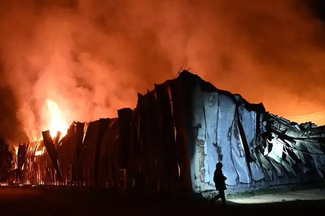 Kayseri'de Mantar Üretim Tesisinde Yangın Çıktı