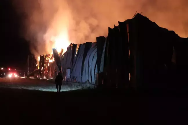 Kayseri'de Mantar Üretim Tesisinde Yangın Çıktı