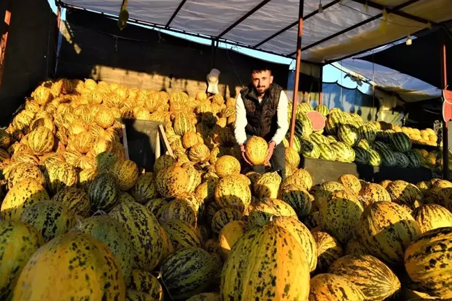 Arguvan'ın Narmikan Kavunu Tezgahlarda