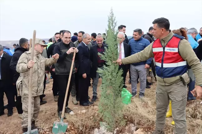 Midyat'ta Milli Ağaçlandırma Günü Etkinliği Düzenlendi