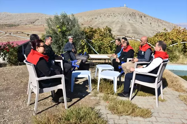 Şırnak'ta Trabzon Hurması Hasadı Yapılıyor