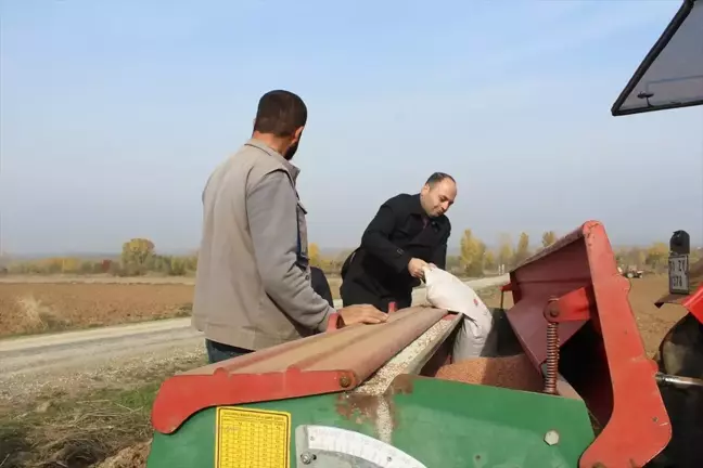 Tokat Pazar'da Ekmeklik Buğday Ekimi Başladı