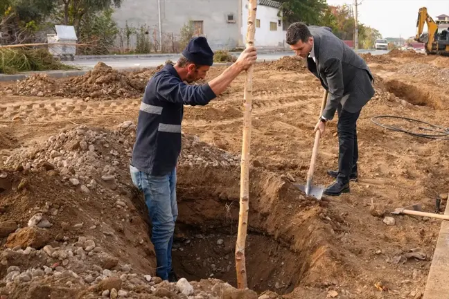 Erbaa Belediyesi Yılmaz Kayalar Bulvarı'nda 350 Huş Ağacı Fidanı Dikti