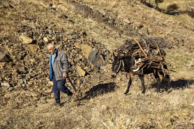 Sonbaharın Renkleri Fotoğraf Tutkunlarını Bitlis'te Buluşturdu