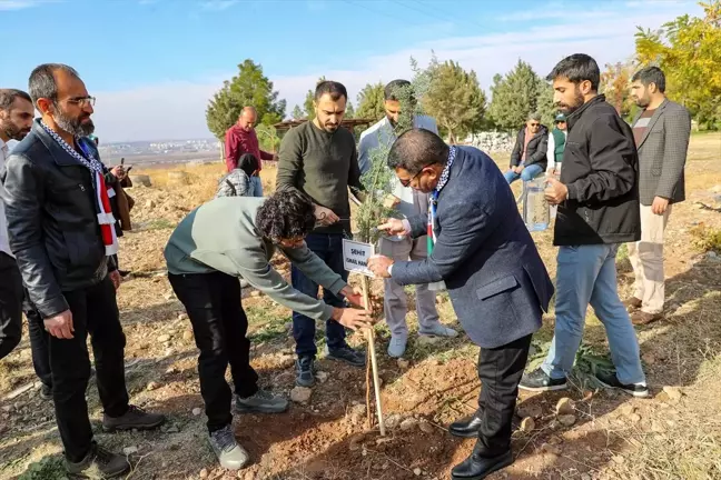 Diyarbakır'da Gazze İçin Fidan Dikme Etkinliği