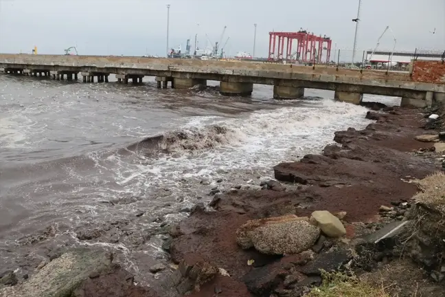 Tekirdağ Sahilinde Kırmızı Yosun Birikintileri Oluştu