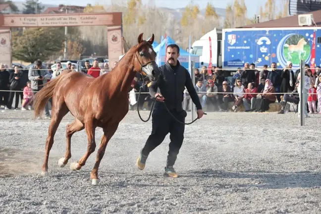 Ürgüp’te En Güzel Atlar Yarıştı